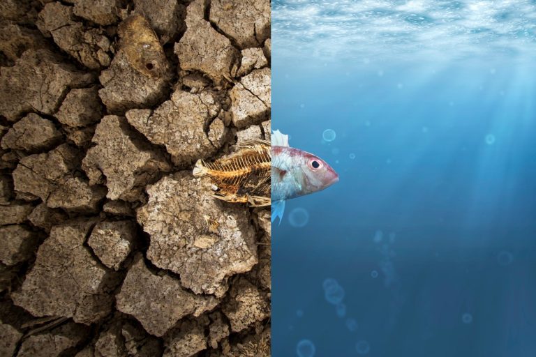 Climate Change: A Growing Threat to Billions of People Worldwide