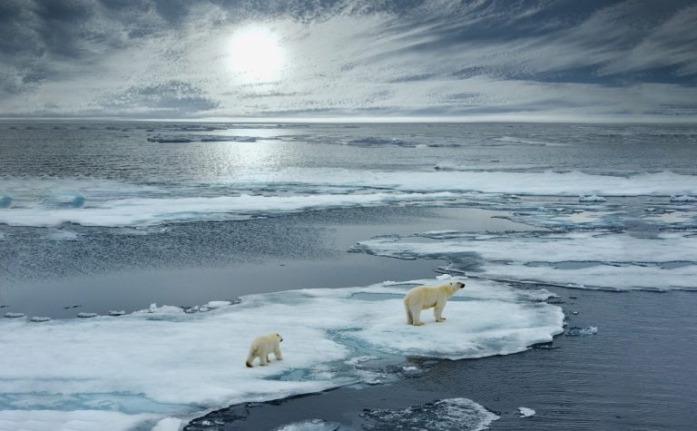 How Climate Change is Harming Our Health: The Effects and Solutions