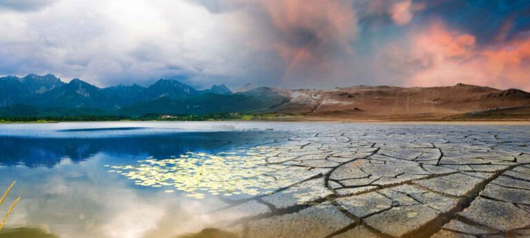 Beyond the Hockey Stick, Looking at Climate Change Today